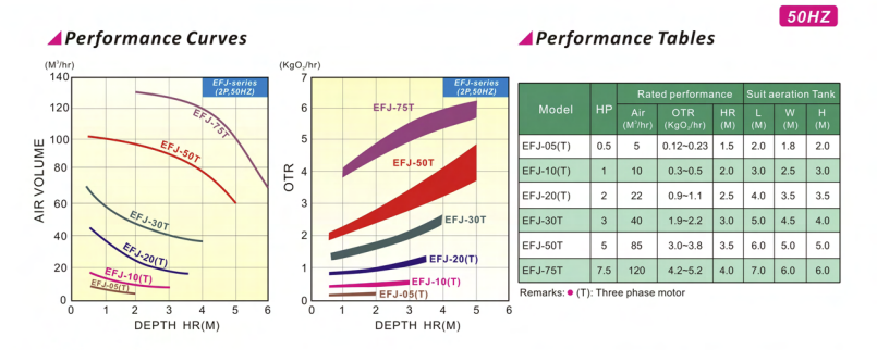 Máy bơm sục khí chìm nhãn hiệu Evergush Model EFJ-75T