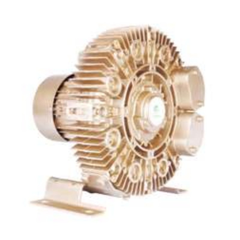 Máy thổi khí con sò Goorui GHBG D73 12 1R2 0,55kW – 1 tầng cánh